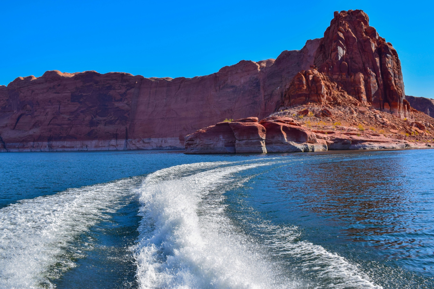 Catch of the Day: Top Fish Species to Target at Lake Powell